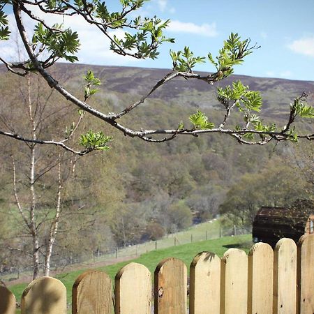 Howe Of Torbeg Ballater Esterno foto