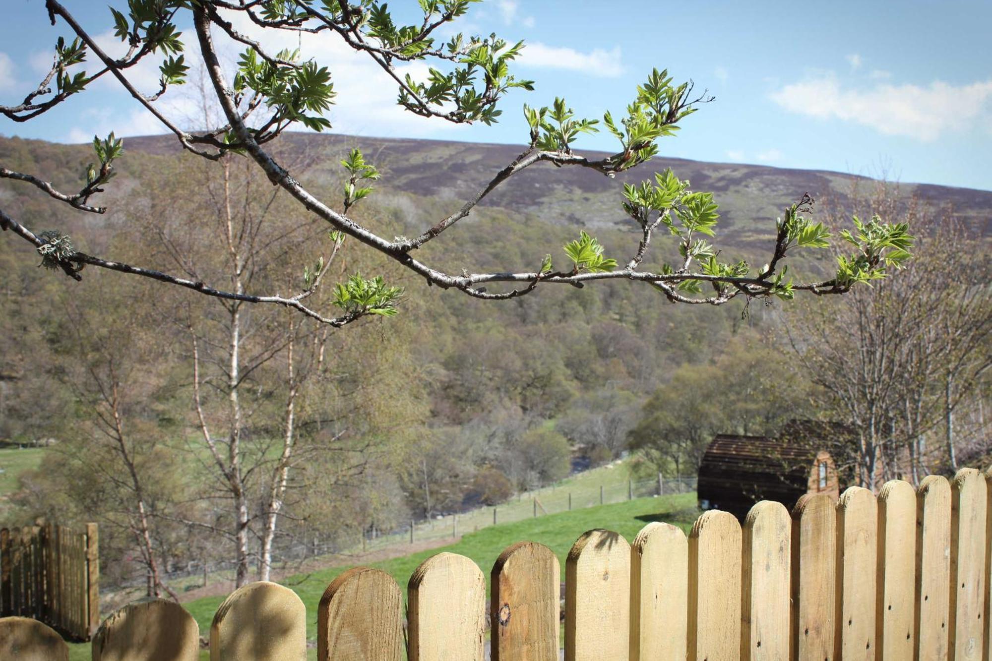 Howe Of Torbeg Ballater Esterno foto