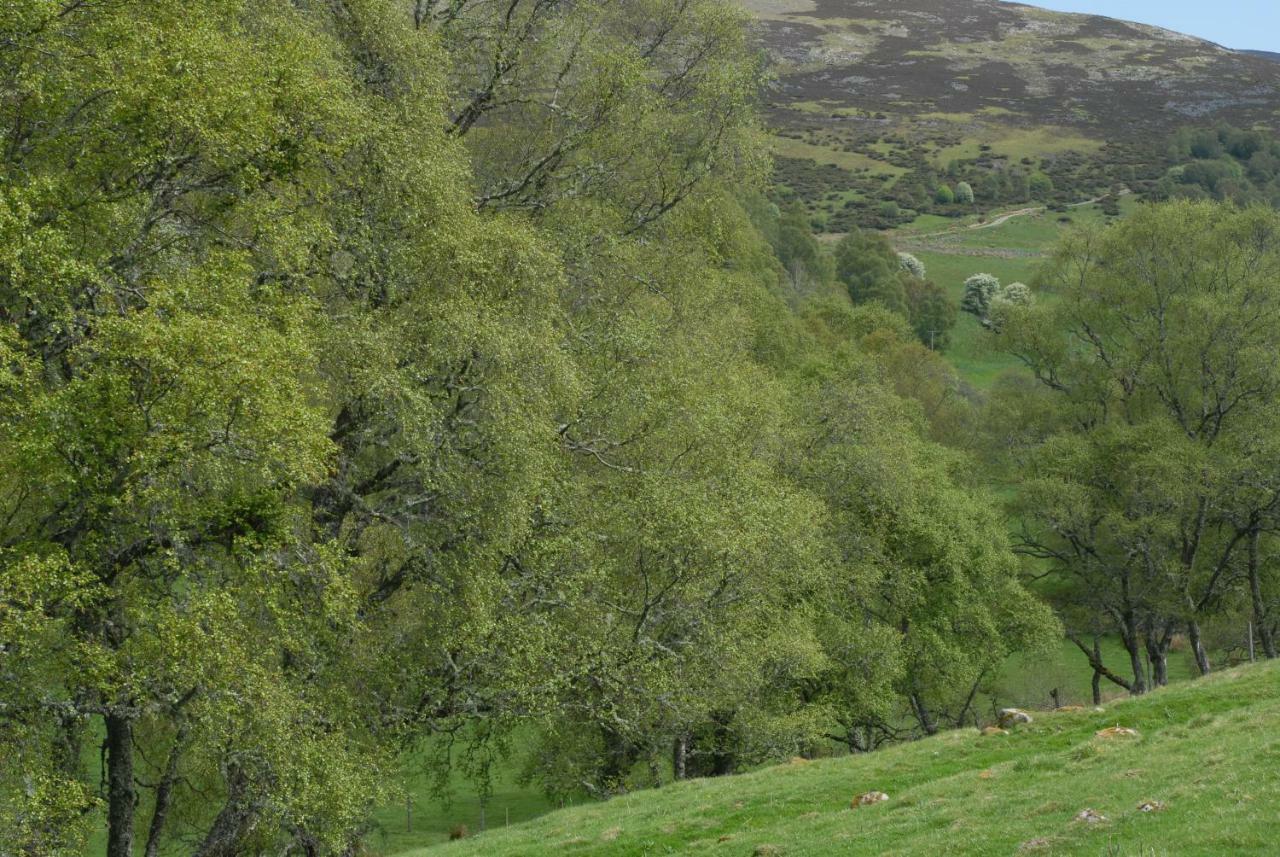 Howe Of Torbeg Ballater Esterno foto